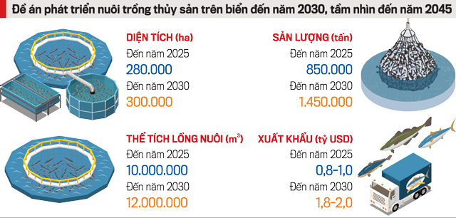6PG88VN