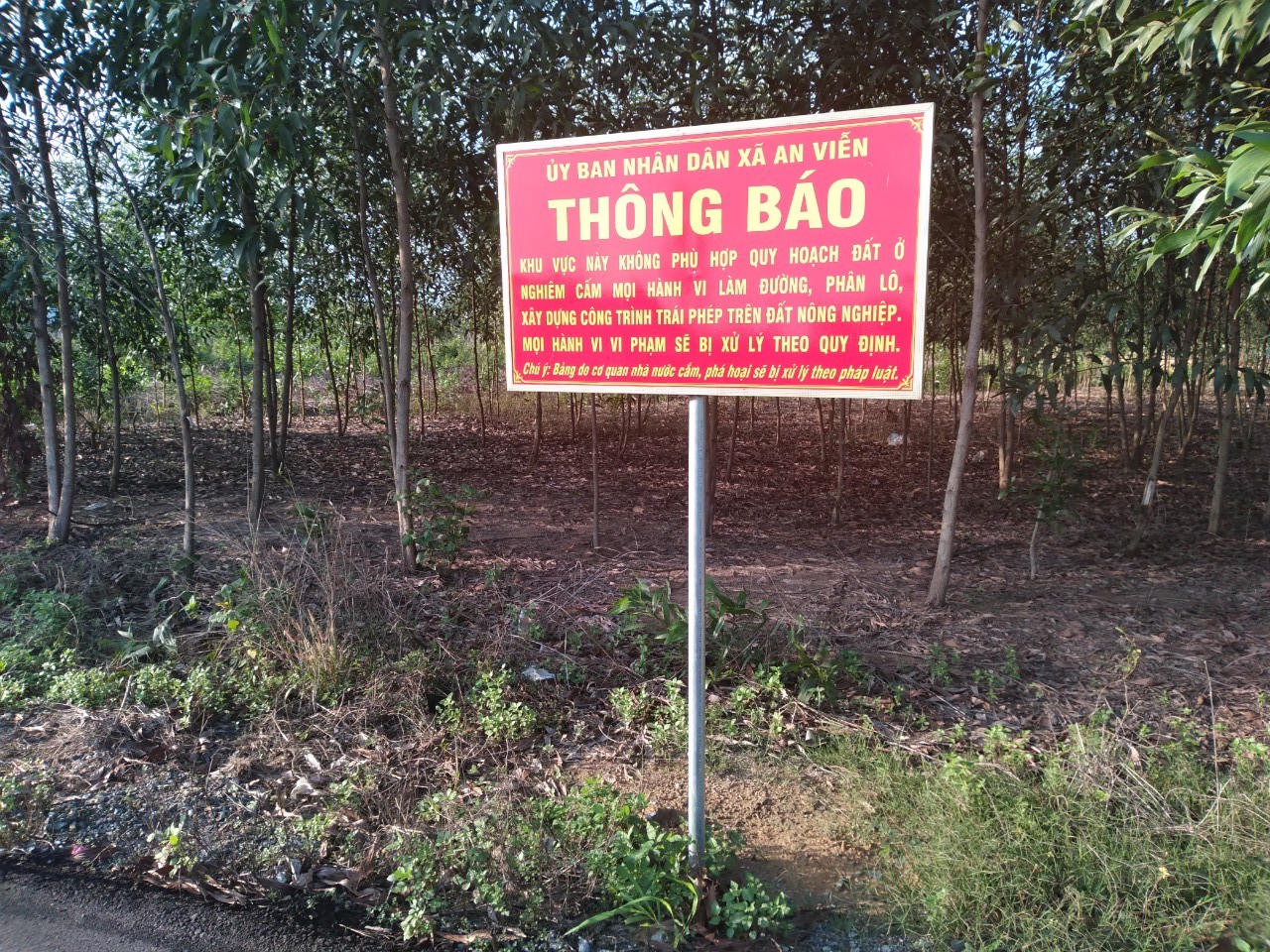 Ảnh minh hoạ.