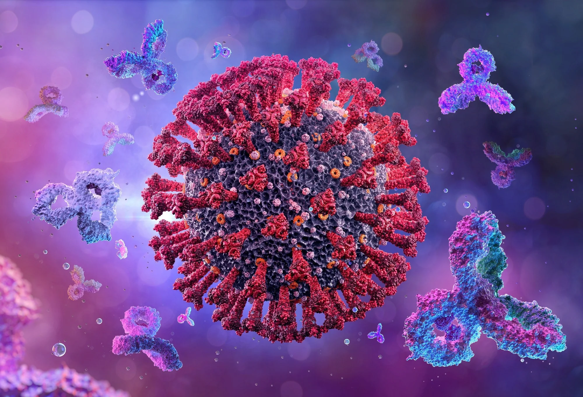 BA.2.75.2 đ&atilde; chọn ra ba đột biến bổ sung từ BA.2.75, hai trong số đ&oacute; l&agrave; nơi virus li&ecirc;n kết với tế b&agrave;o người để l&acirc;y nhiễm.