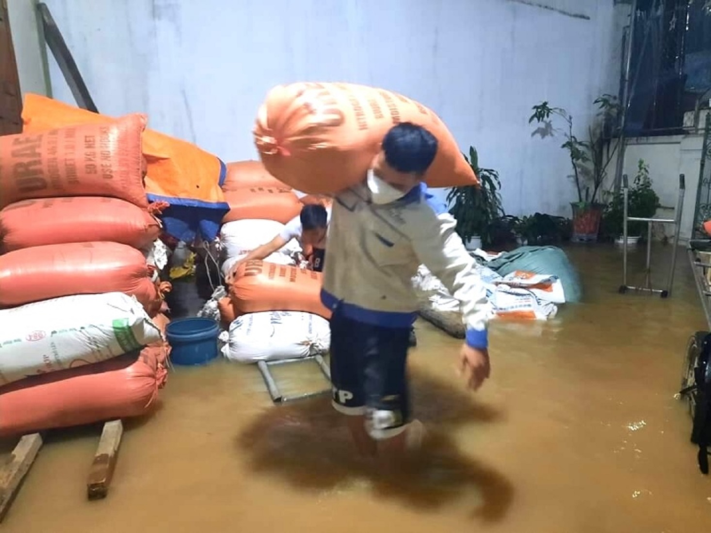 Người dân ở Nghệ An phải di chuyển đồ đạc chạy lũ