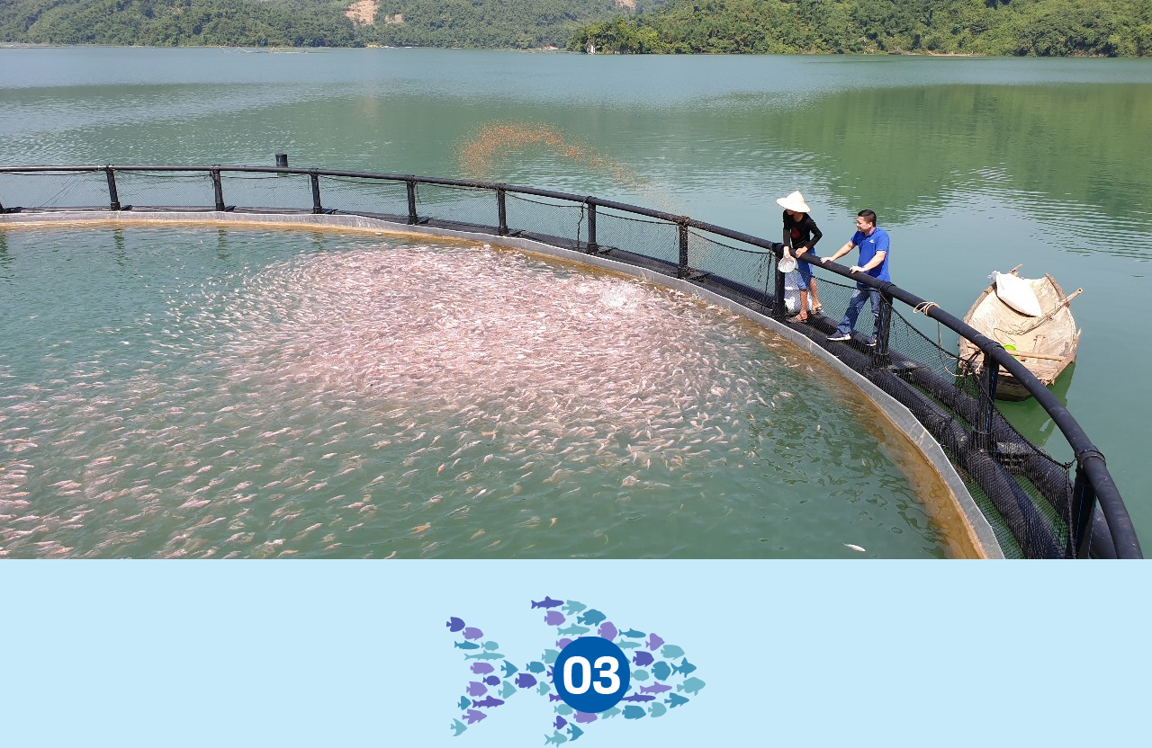 6PG88VN