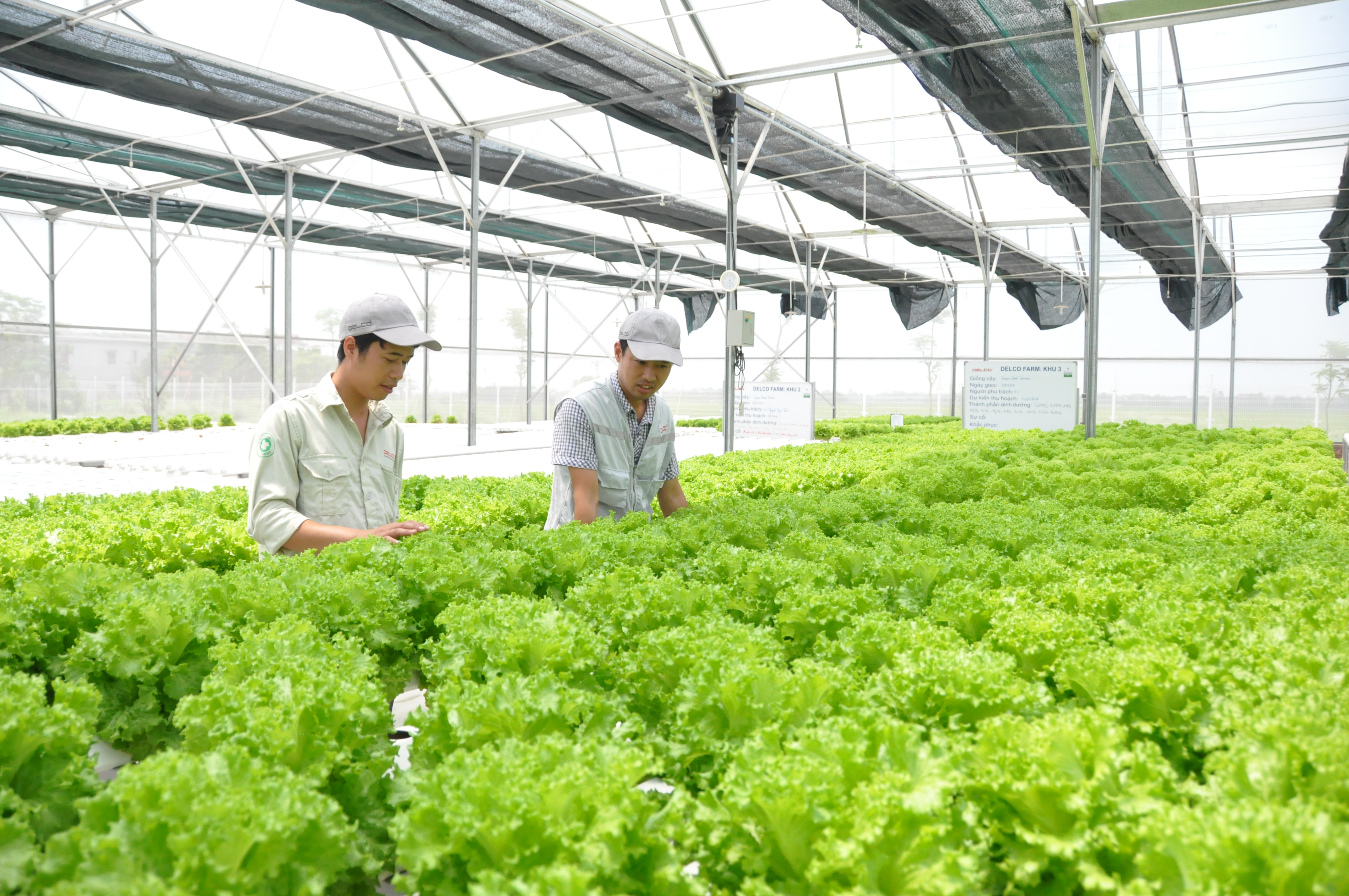 GEFE: Hỗ trợ Việt Nam đáp ứng mục tiêu cam kết tại COP26