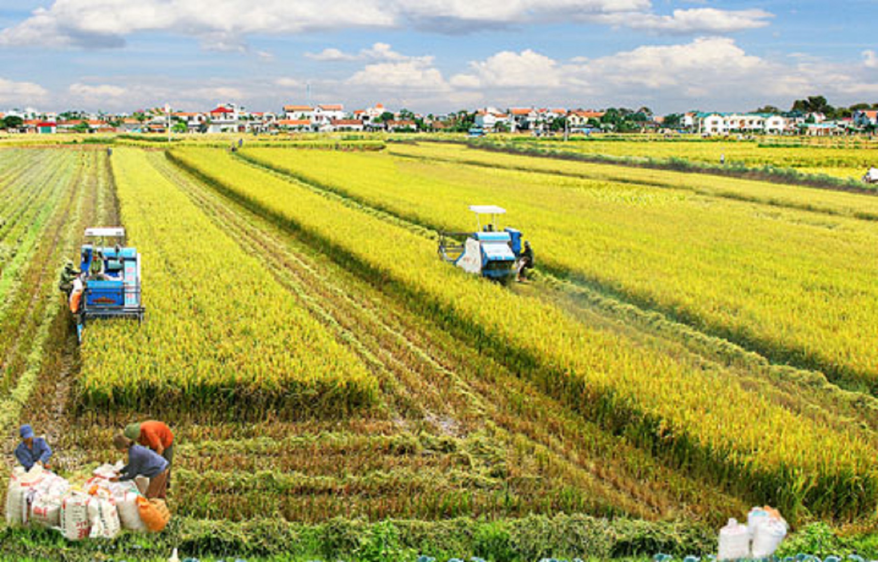 Sản xuất nông nghiệp tại Việt Nam vẫn đang PG88 hơn 2,1 triệu thành viên.
