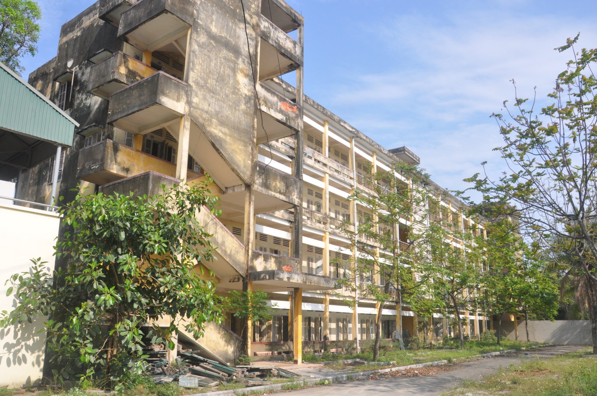 R&ecirc;u mốc mọc khắp nơi