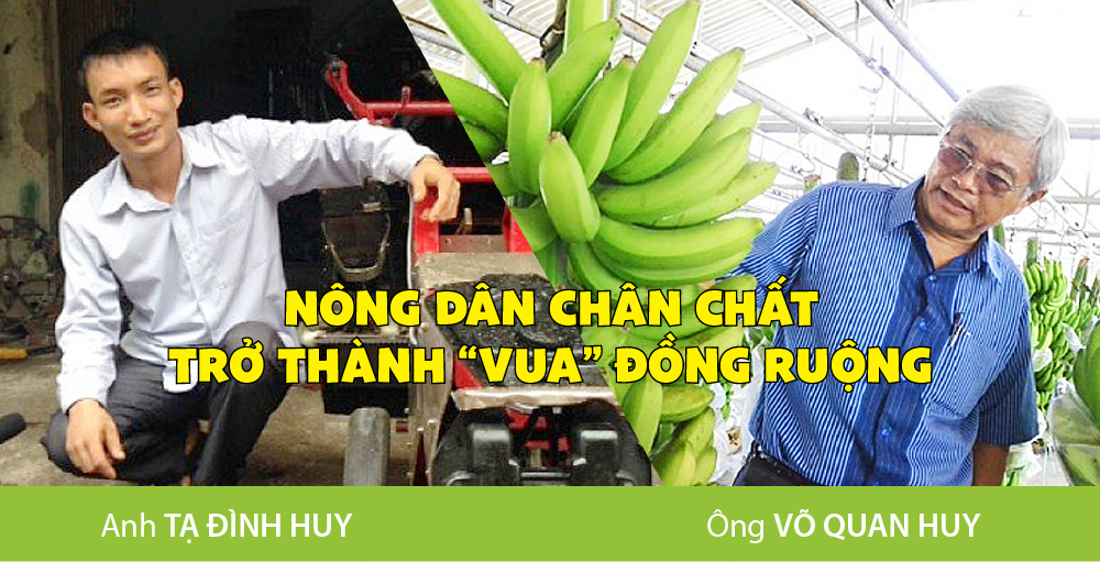 6PG88VN