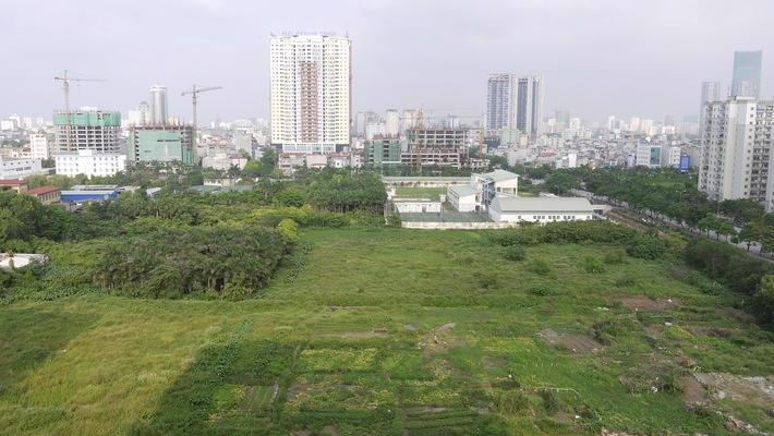 Ảnh minh họa.