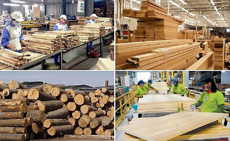 Dự báo, đến năm 2030, tổng kim ngạch Pg88 com chính chủ của ngành chế biến gỗ Việt Nam ước đạt 25 tỷ USD..