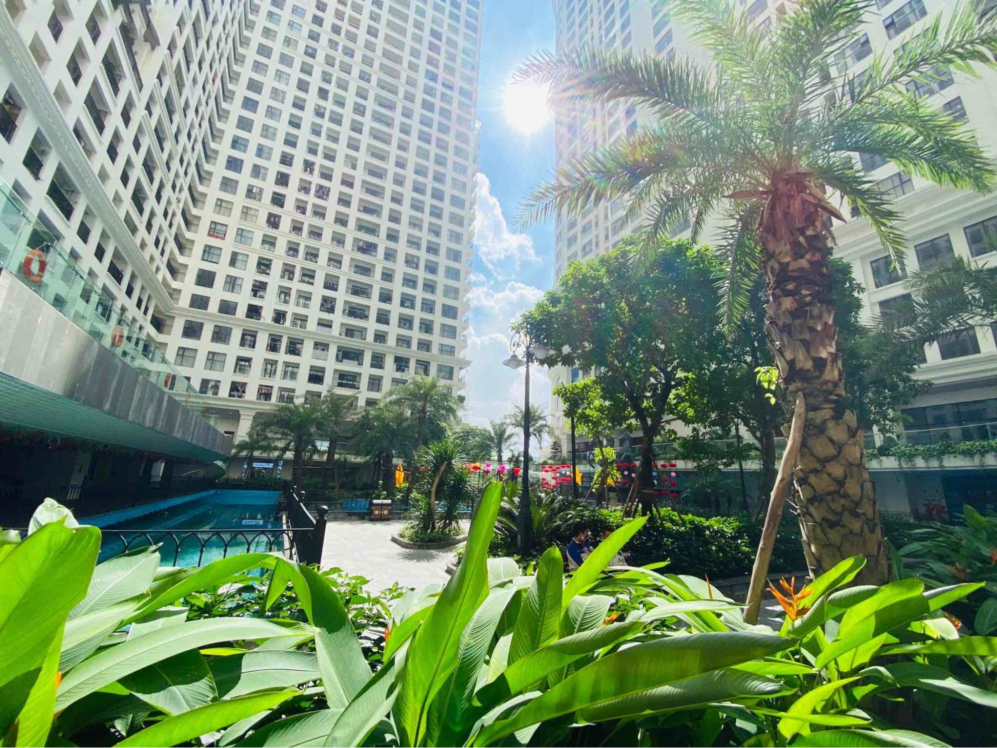Sunshine Garden - Nhà sang giữa “ban mai trong vườn phố”.