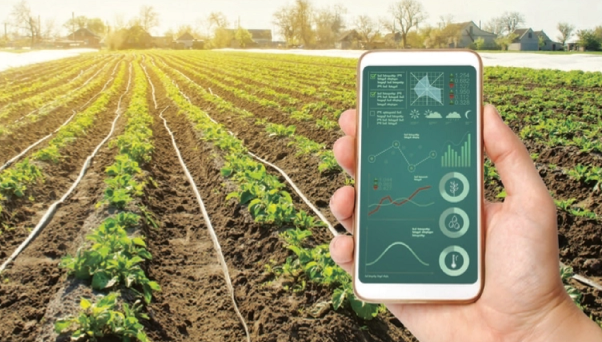 Chuyển đổi số để khắc phục những “hố đen” trong sản xuất nông nghiệp