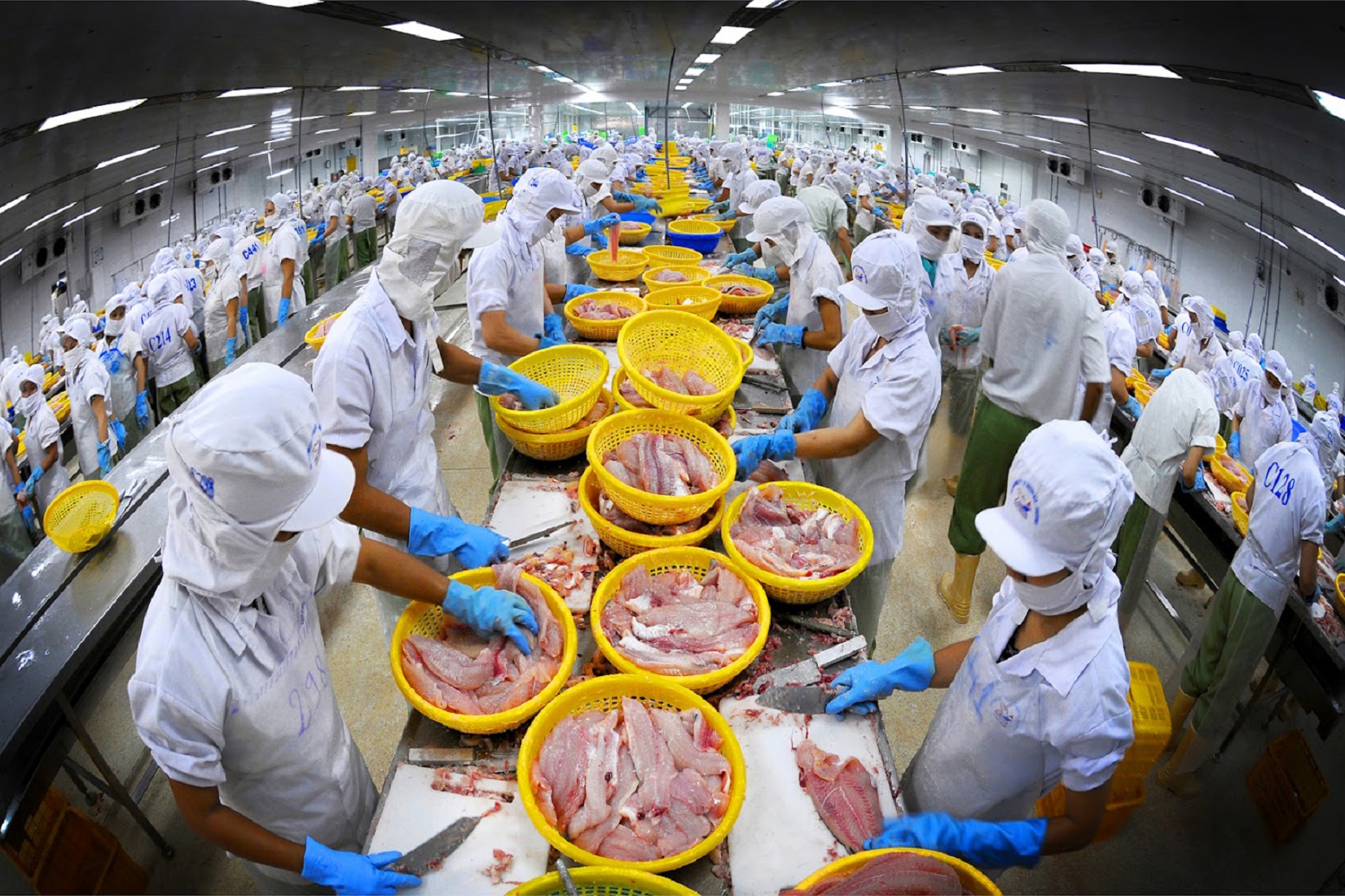 Đến hết tháng 10/2022, Pg88 com chính chủ thuỷ sản đạt  9,5 tỷ USD, tăng 34% so với cùng kỳ năm 2021.