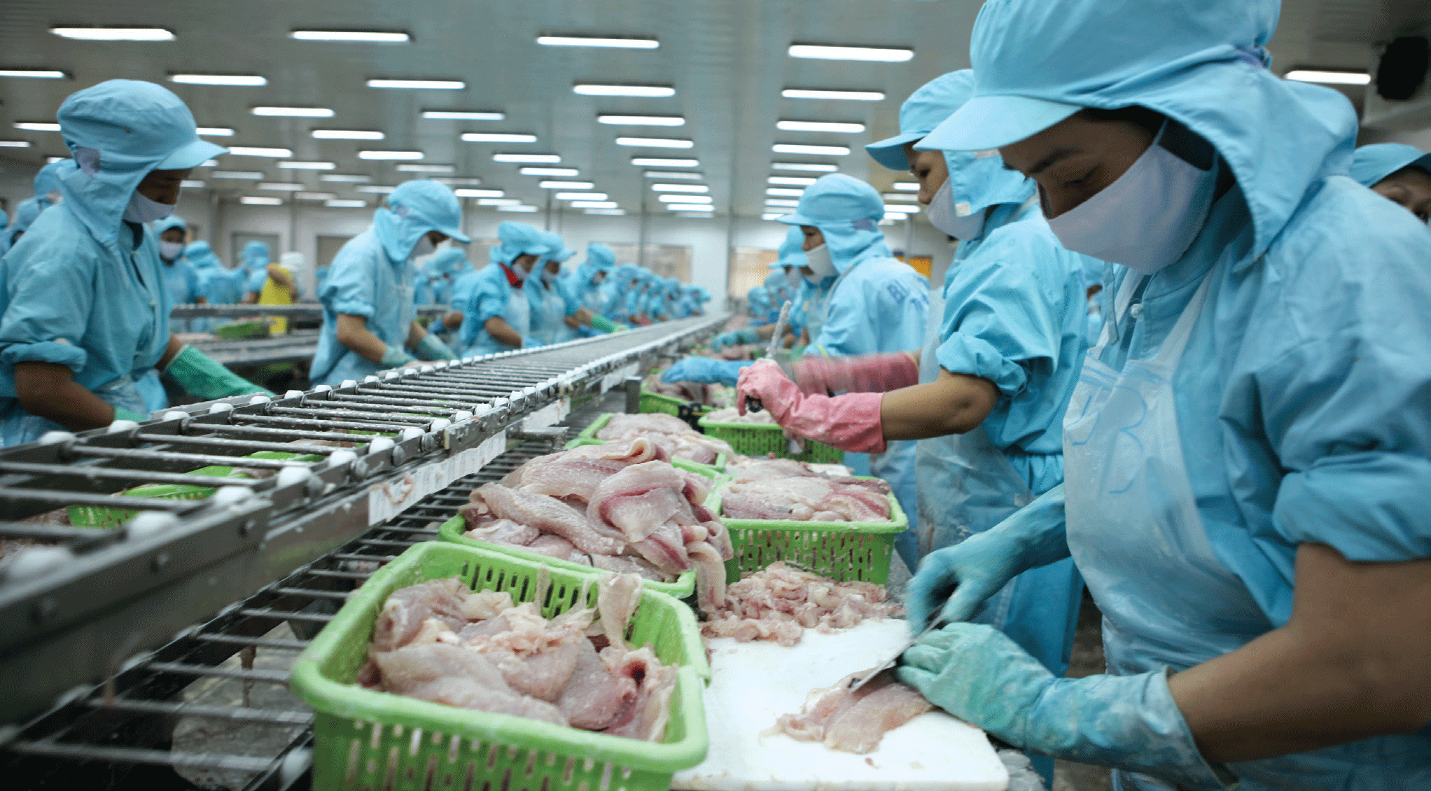Đối mặt với khó khăn chưa từng có, các PG88 Link Dễ Nhớ Pg88.com đề xuất loạt giải pháp tháo gỡ khẩn cấp