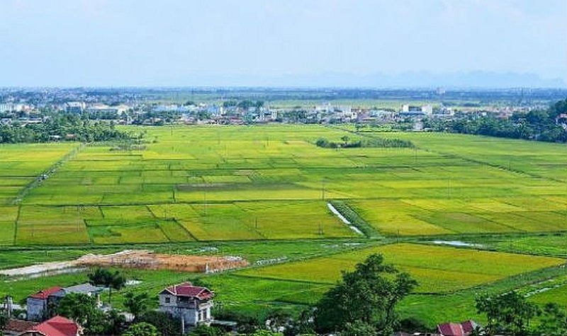 Ảnh minh họa.