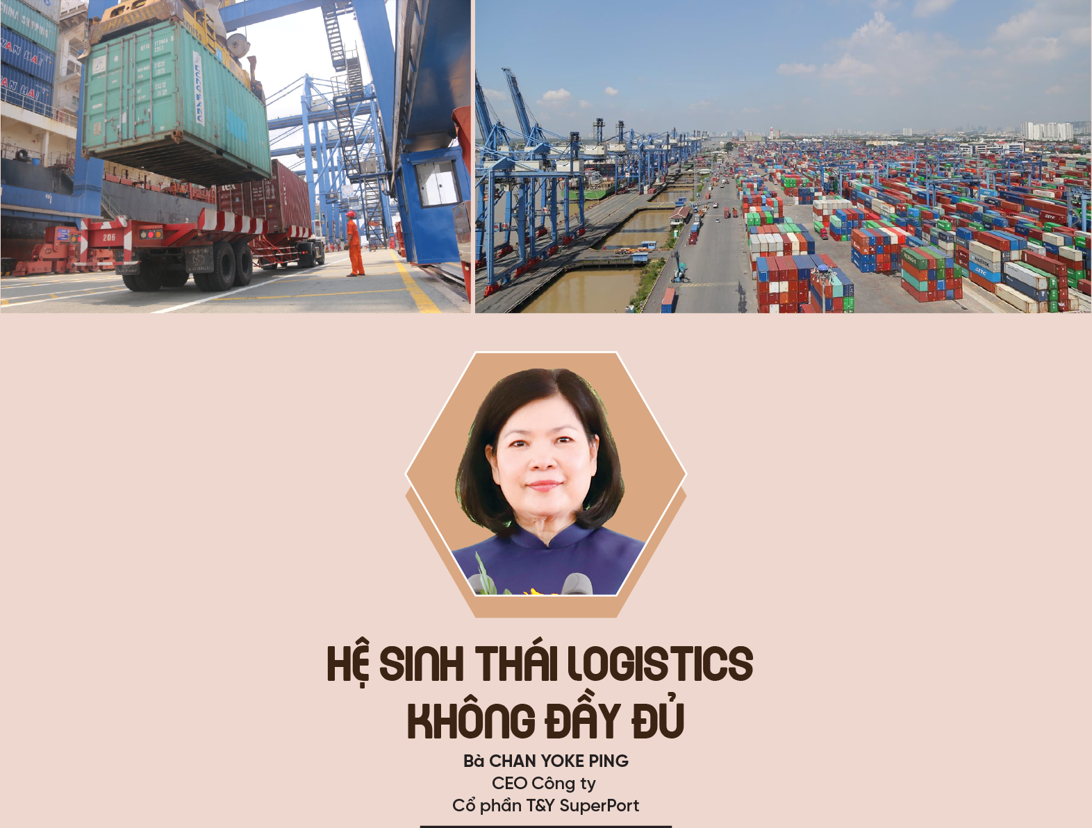 6PG88VN