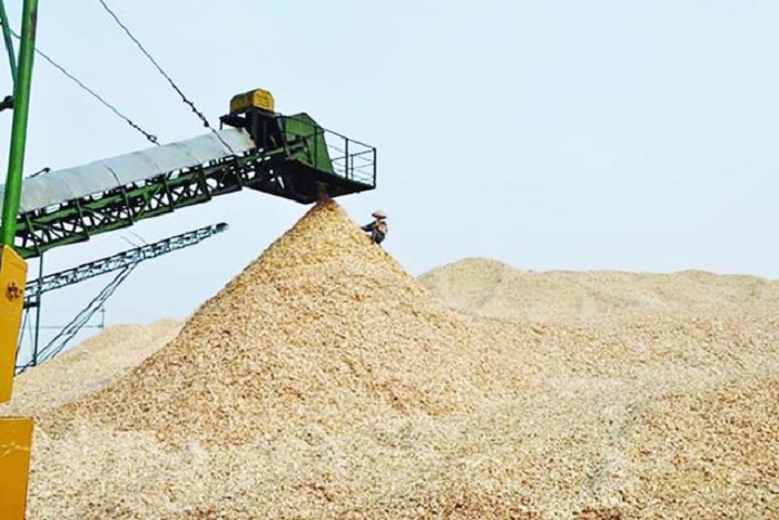PG88 Link Dễ Nhớ Pg88.com Pg88vnd link khuyến  dăm gỗ vướng mắc thủ tục ho&agrave;n thuế.