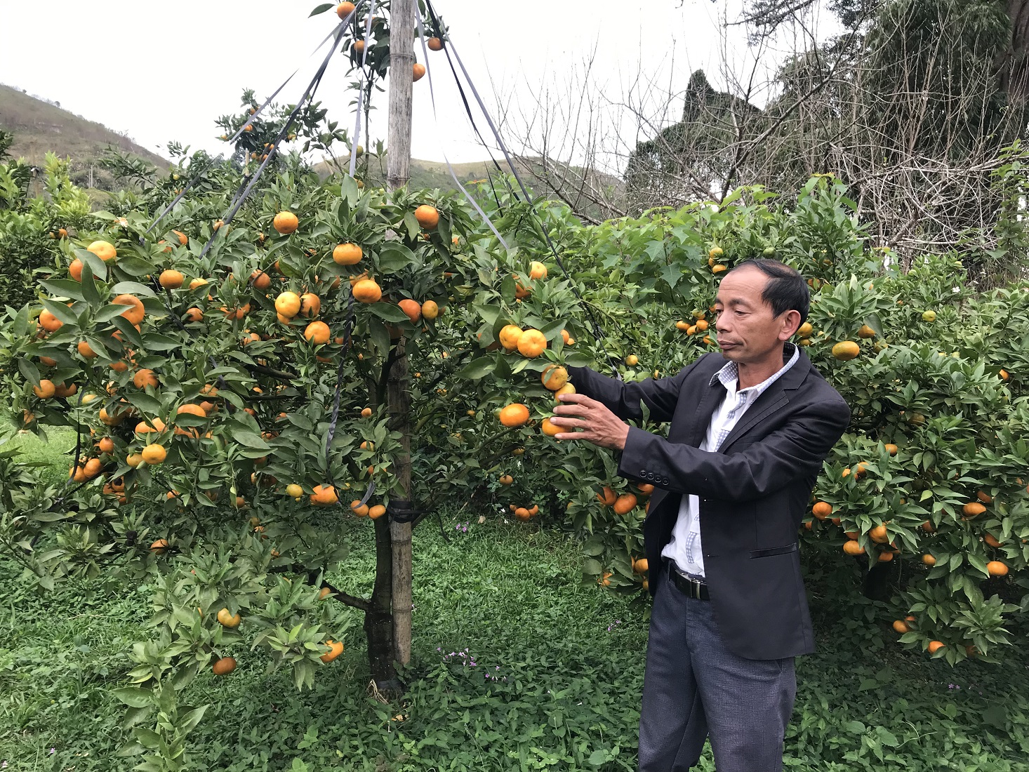 Hệ sinh thái hỗ trợ phụ nữ, thanh niên dân tộc thiểu số khởi nghiệp 
