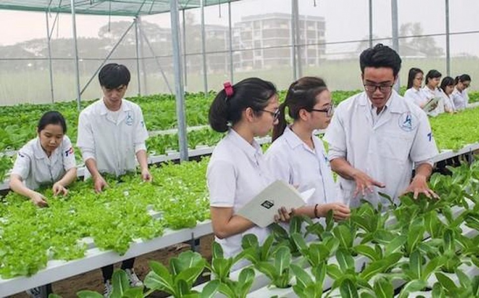 Công tác đào tạo nhân lực ngành nông nghiệp phải gắn với cơ sở sản xuất, 6Pg88.con độc quyền mỗi ngày và thị trường.