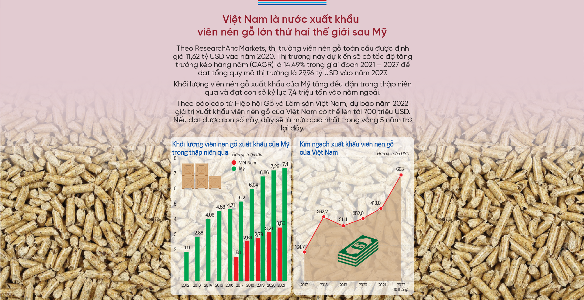 6PG88VN