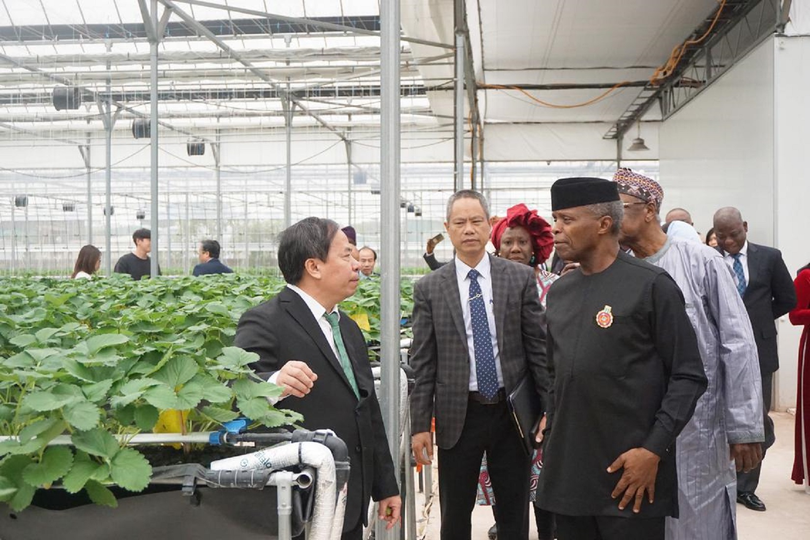Phó Tổng thống Nigeria tham quan Khu nông nghiệp Link Đăng Nhập PG88 Chính Thức 2026; cao của Viện Khoa học Nông nghiệp Việt Nam. Ảnh: Chu Khôi.