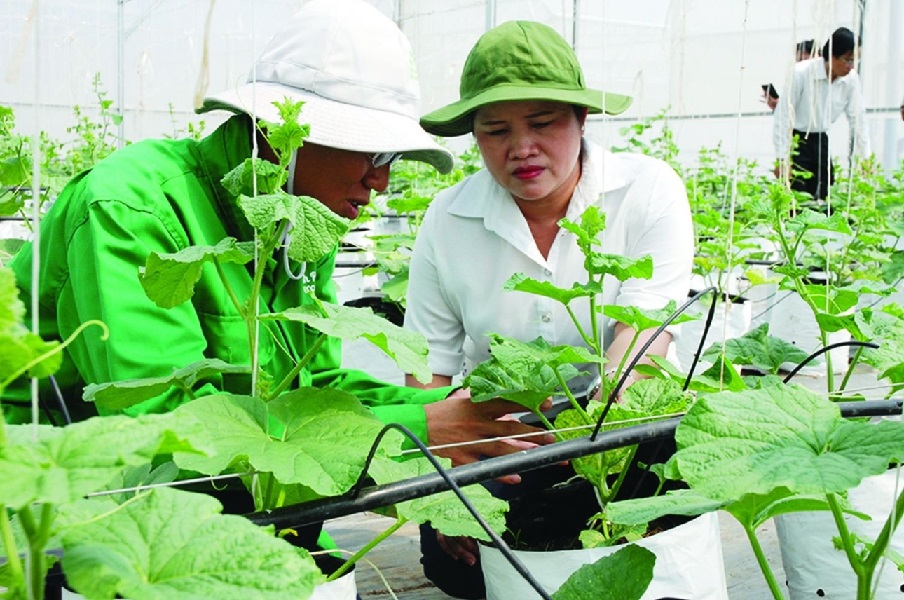 6Pg88.con độc quyền mỗi ngày ngành nông nghiệp cần thay đổi theo hướng giảm phát thải, đặc biệt là xanh hóa chuỗi cung ứng.