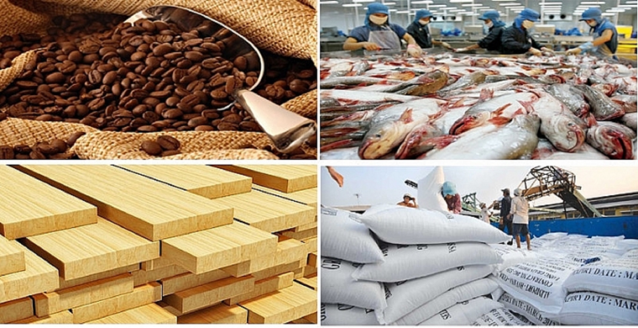 Pg88vnd link khuyến  nông lâm thủy sản thiết lập kỷ lục mới