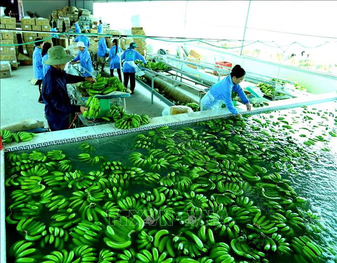 Hướng đi bền vững của PG88 Link Dễ Nhớ Pg88.com: Đẩy mạnh Pg88vnd link khuyến  xanh 
