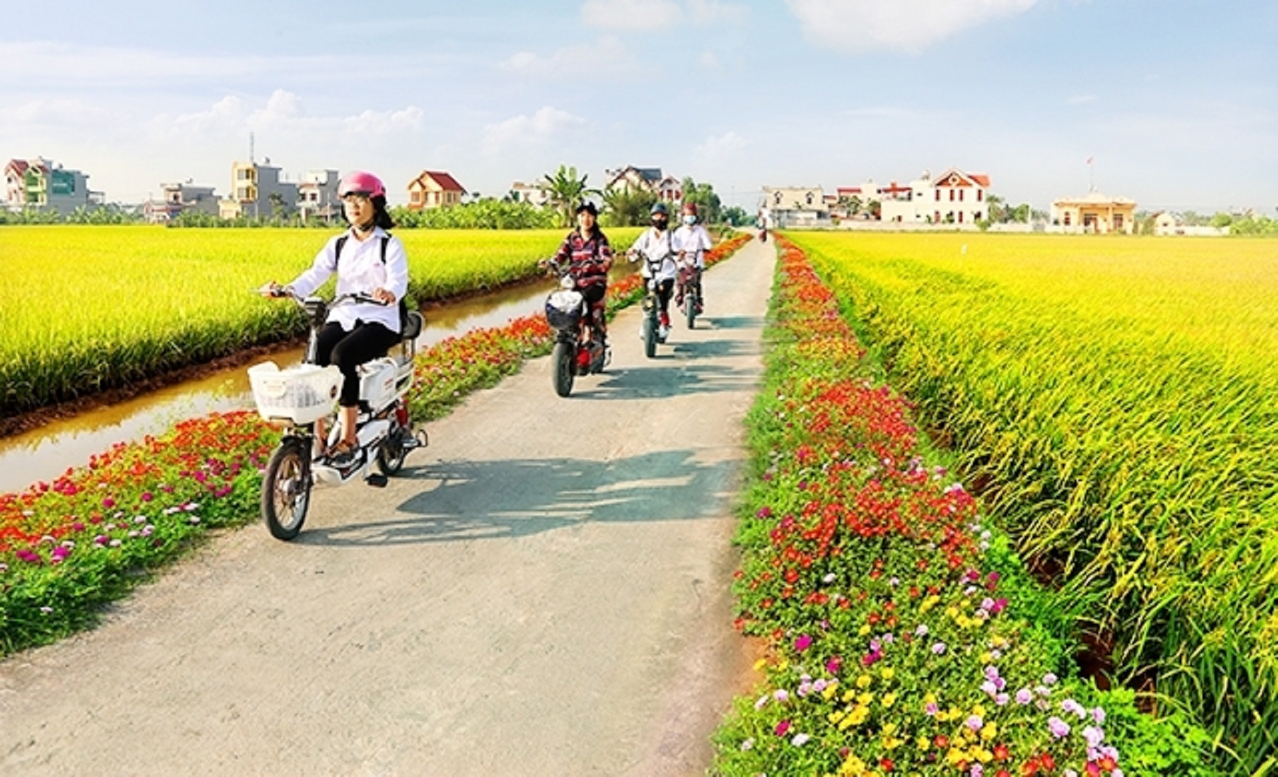 Làng quê lưu giữ chiều sâu văn hóa.