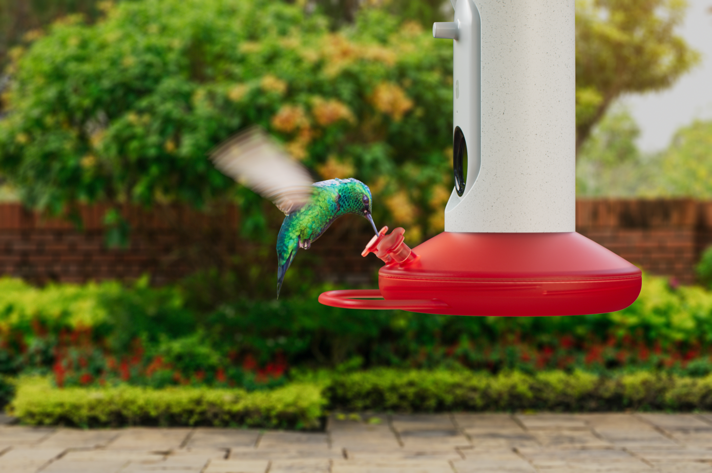 M&aacute;y cho chim ăn Bird Buddy gi&uacute;p theo d&otilde;i c&aacute;c chuyến thăm của chim theo thời gian, t&igrave;m hiểu về th&oacute;i quen của ch&uacute;ng.