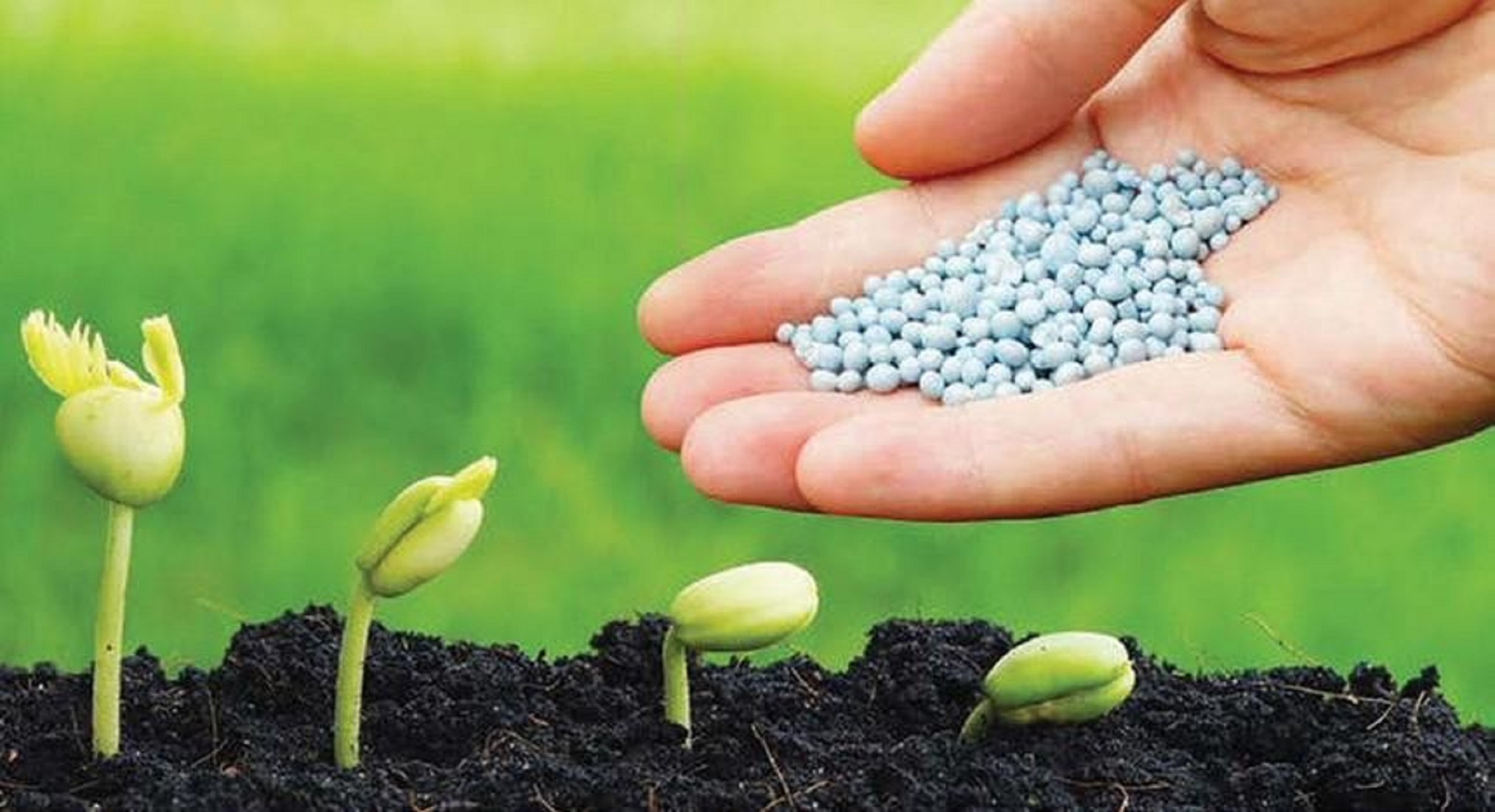 Cần thúc đẩy sản xuất phân bón hữu cơ, vi sinh.