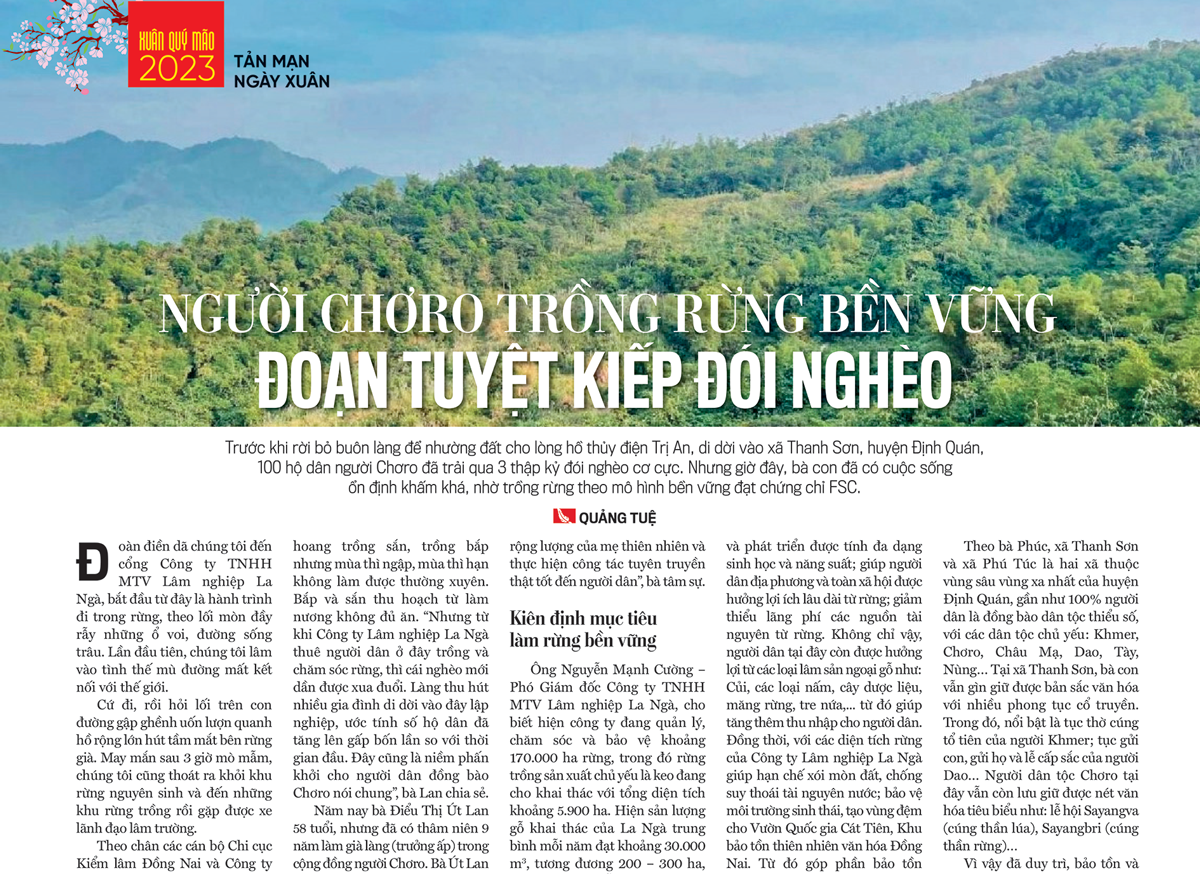 6PG88VN