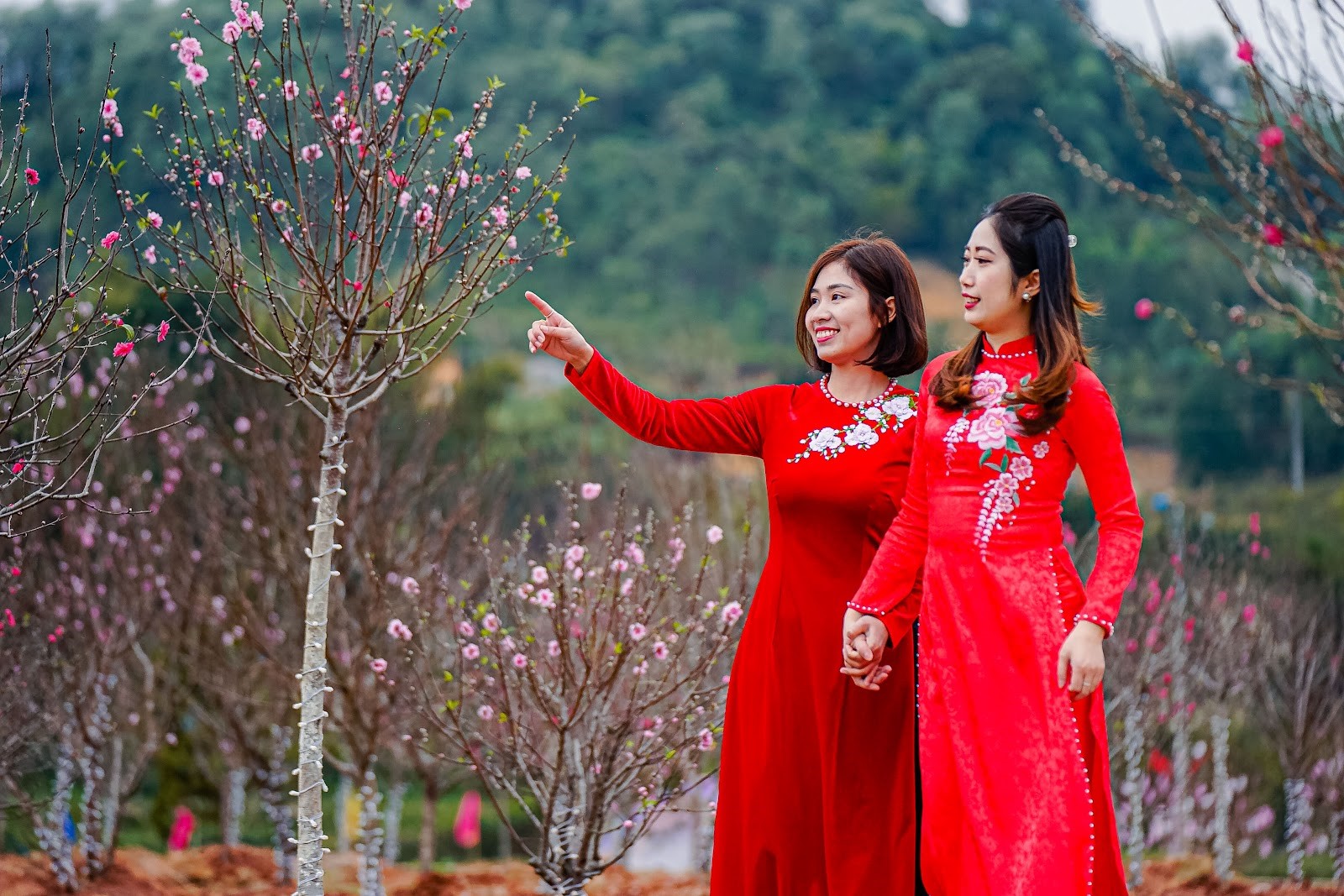Hoa đ&agrave;o trong t&acirc;m thức người Việt, l&agrave; loại hoa đặc biệt, mang những gi&aacute; trị văn ho&aacute; - tinh thần cũng như đại diện cho sức sống, may mắn v&agrave; hạnh ph&uacute;c của người Việt.