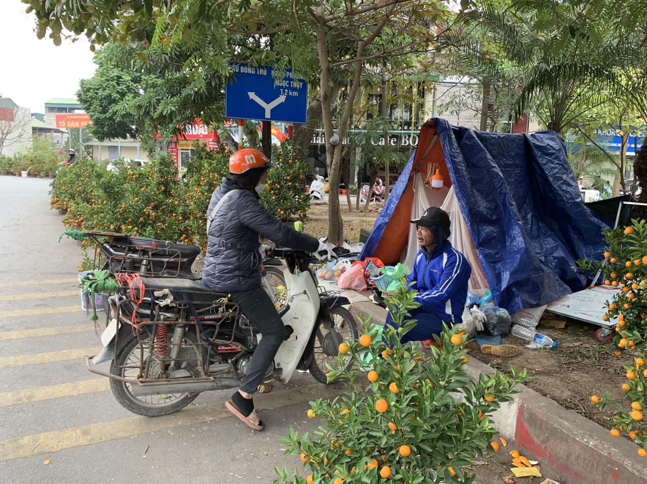 Anh Nguyễn Văn Đến (Hưng Y&ecirc;n) mang l&ecirc;n H&agrave; Nội hơn 100 gốc quất, hai vợ chồng đ&atilde; phải ngủ ở vườn hoa 3 đ&ecirc;m để tr&ocirc;ng coi nhưng đến nay vẫn chưa b&aacute;n được bao nhi&ecirc;u. Anh Đến cho biết: 