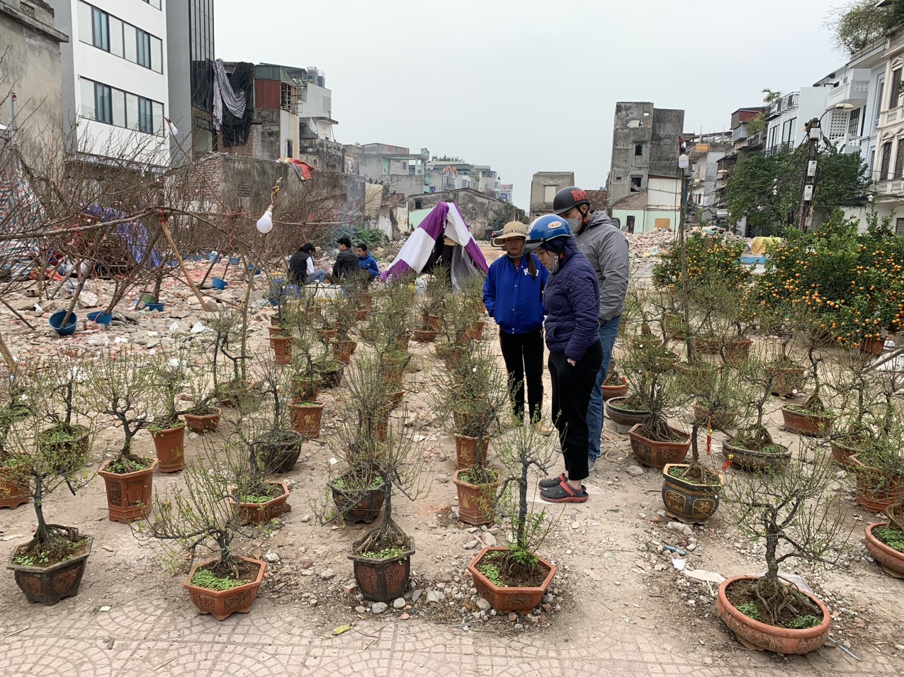 Do Link Trang Chủ PG88.Com Mới #2026 kh&oacute; khăn, nhiều&nbsp;c&ocirc;ng nh&acirc;n vi&ecirc;n chức lượng c&ocirc;ng nh&acirc;n bị giảm lương, giảm thưởng, thậm ch&iacute; mất việc n&ecirc;n bỏ ra số tiền v&agrave;i trăm ng&agrave;n để mua đ&agrave;o, quất, hoặc c&aacute;c loại c&acirc;y cảnh kh&aacute;c khiến kh&ocirc;ng &iacute;t người đắn đo.&nbsp;