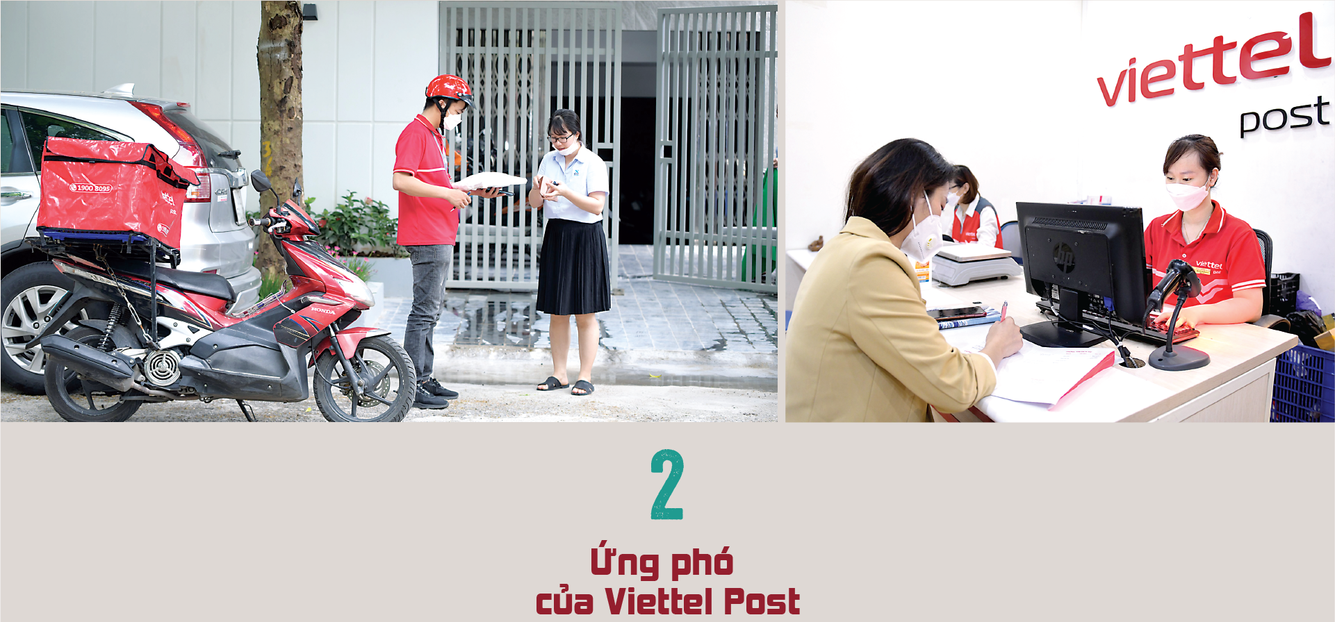 6PG88VN