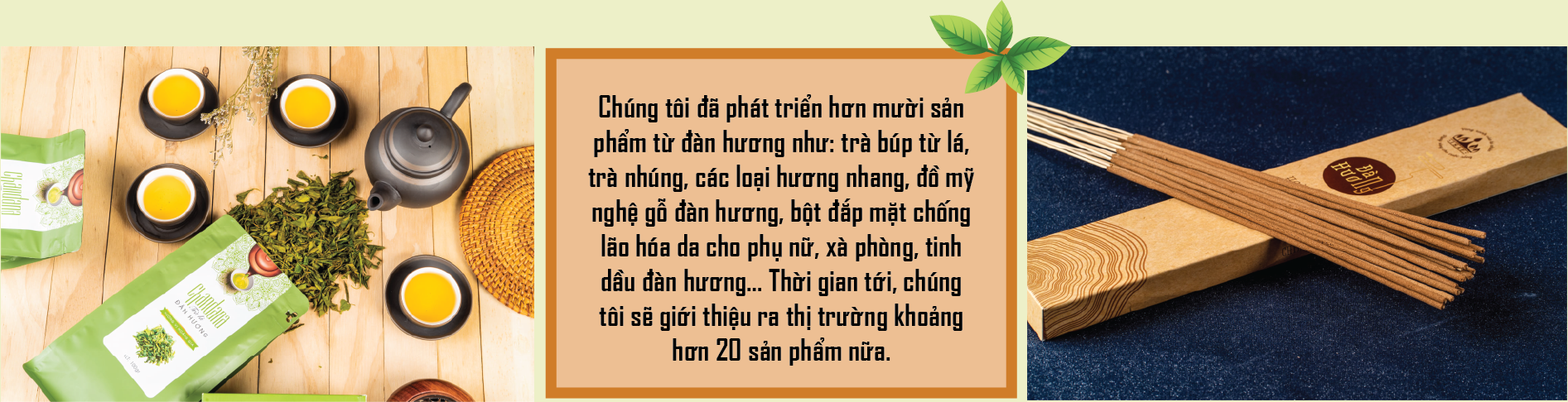 6PG88VN