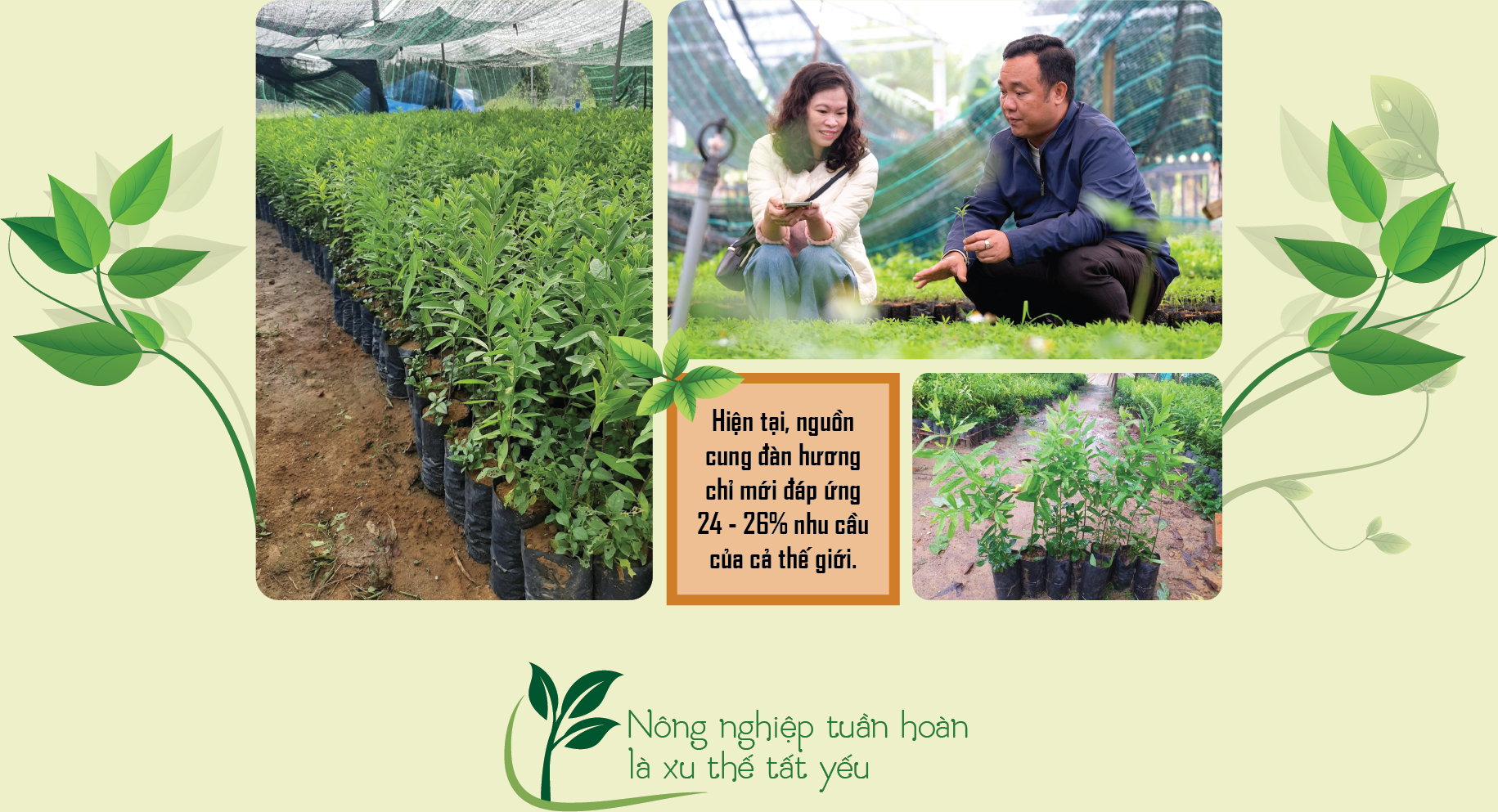 6PG88VN
