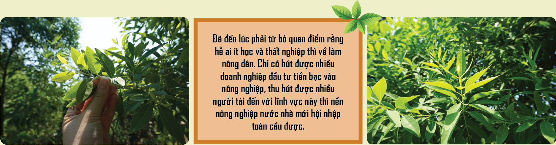 6PG88VN