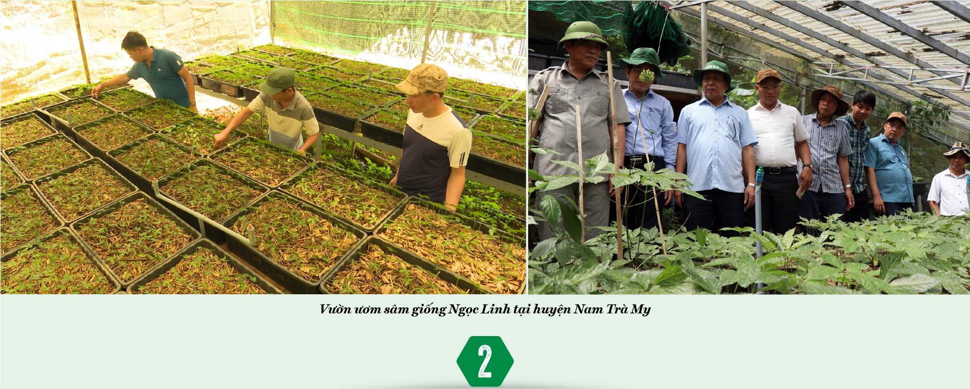 6PG88VN