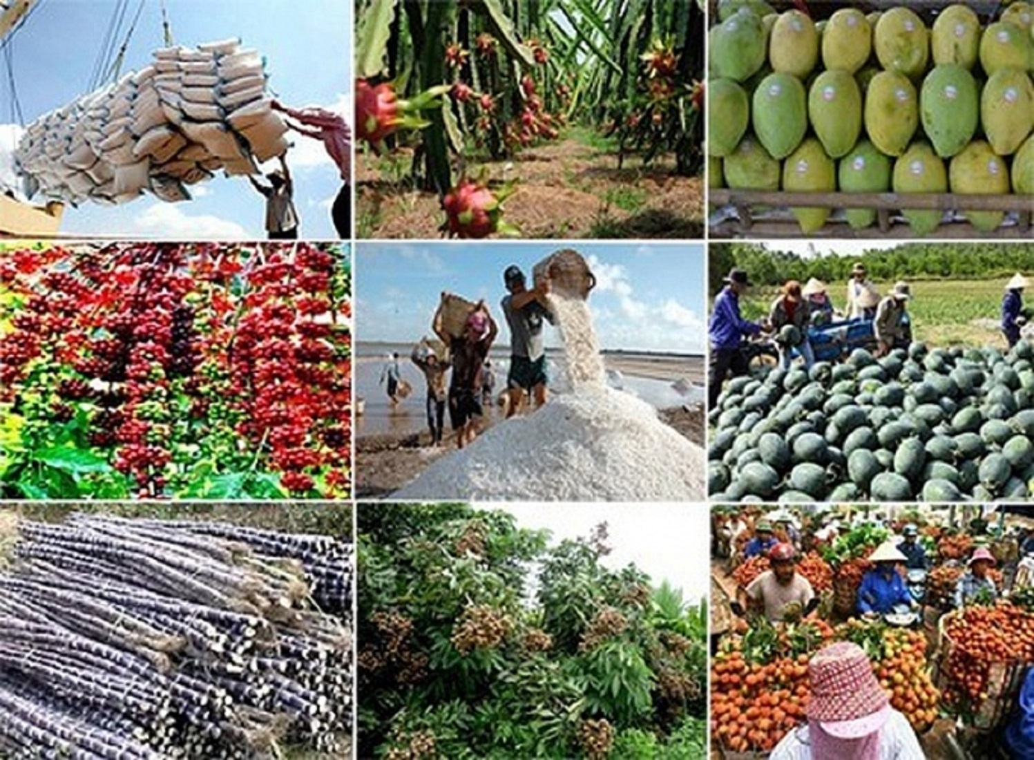 Giá trị Pg88 com chính chủ nông lâm thủy sản tháng 1/2023 giảm 23% so với cùng kỳ năm 2022.