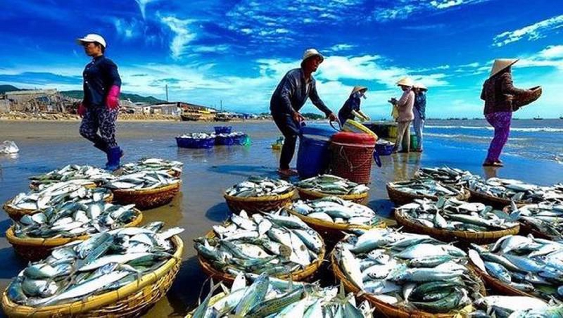 Pg88 com chính chủ thủy sản đã có một năm thắng lớn