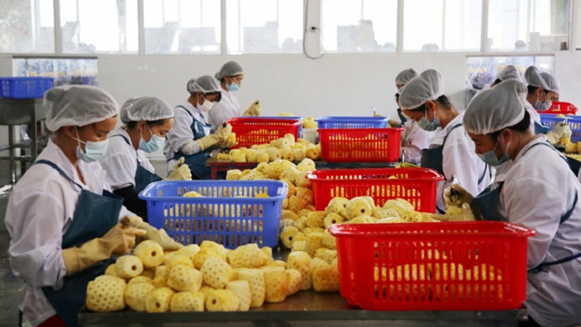 Trái cây đang rộng cửa Pg88 com chính chủ vào Trung Quốc.