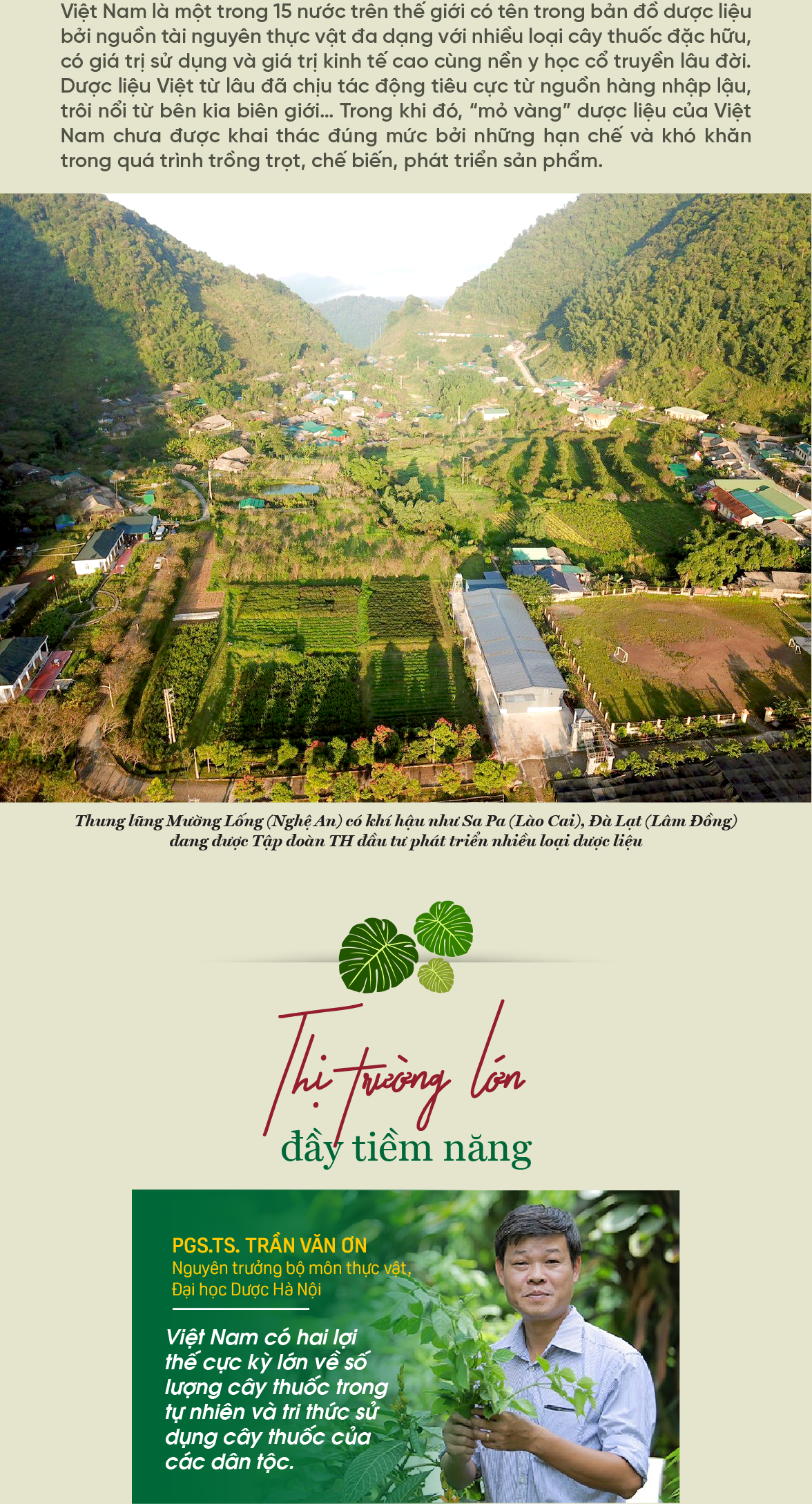 6PG88VN