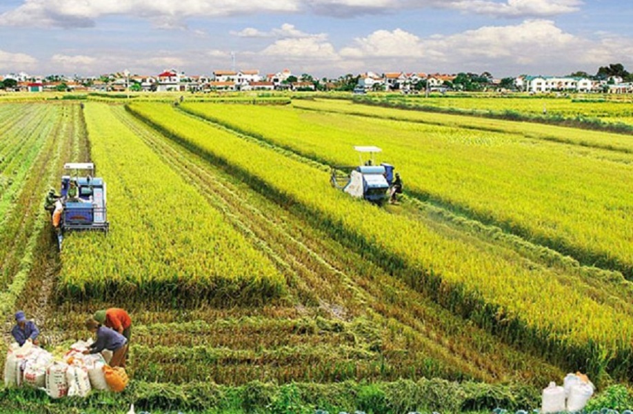 Sản xuất nông nghiệp quy mô nông hộ nhỏ lẻ, ruộng đất manh mún, phân tán vẫn là rào cản lớn trong PG88 hơn 2,1 triệu thành viên PG88 ⭐ Link trang chủ số 1 nhà cái PG88 com casino slot nông nghiệp.