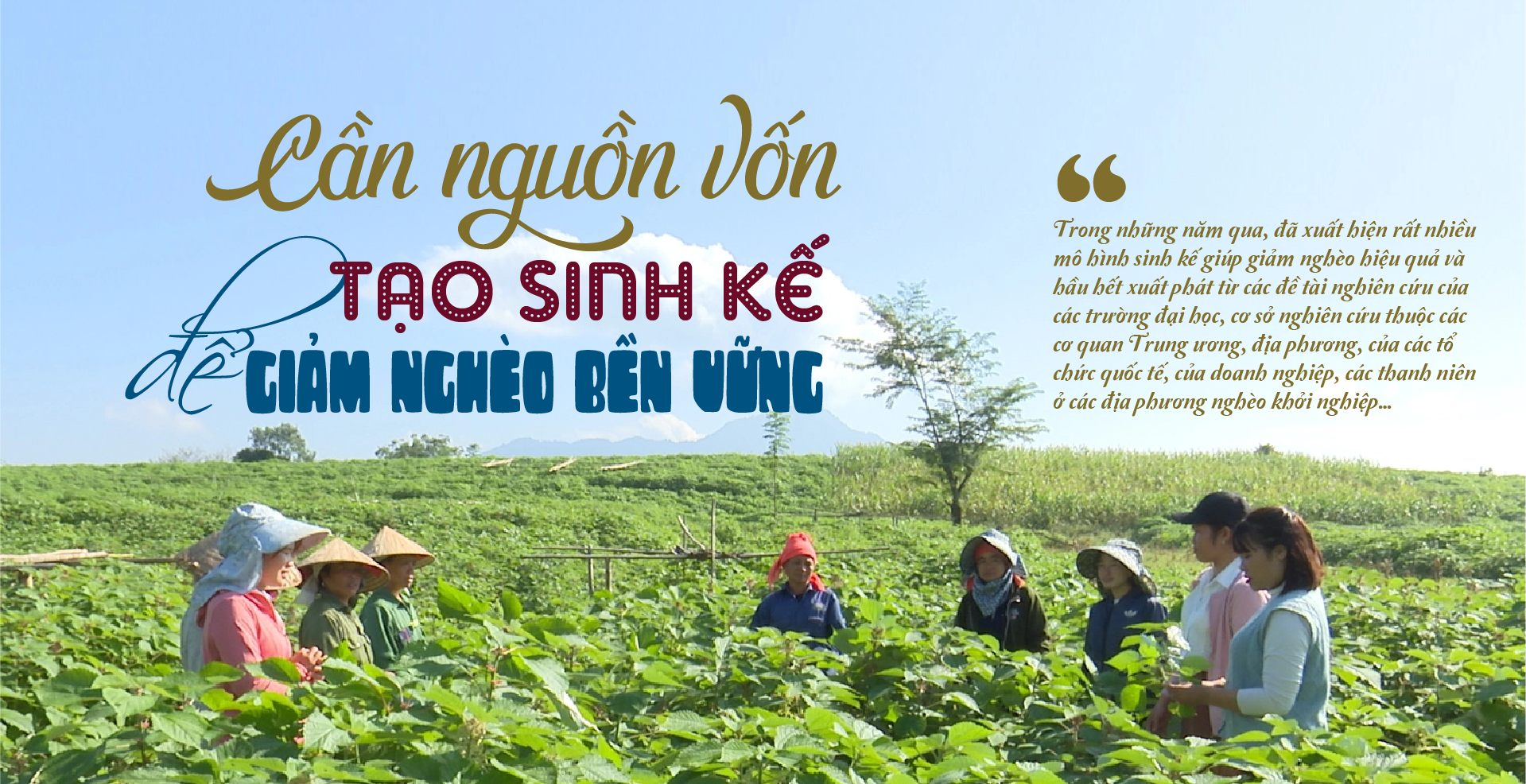 6PG88VN