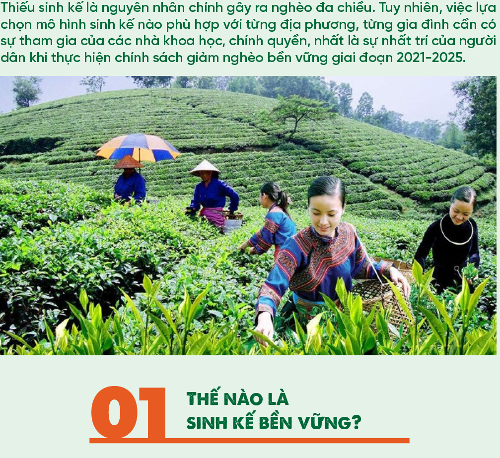 6PG88VN