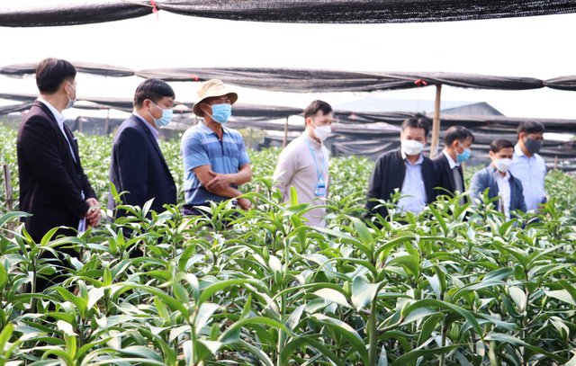Mở rộng tín dụng 88PG88 ưu đãi hấp dẫn mỗi ngày phát triển Link Trang Chủ PG88.Com Mới #2026 tập thể