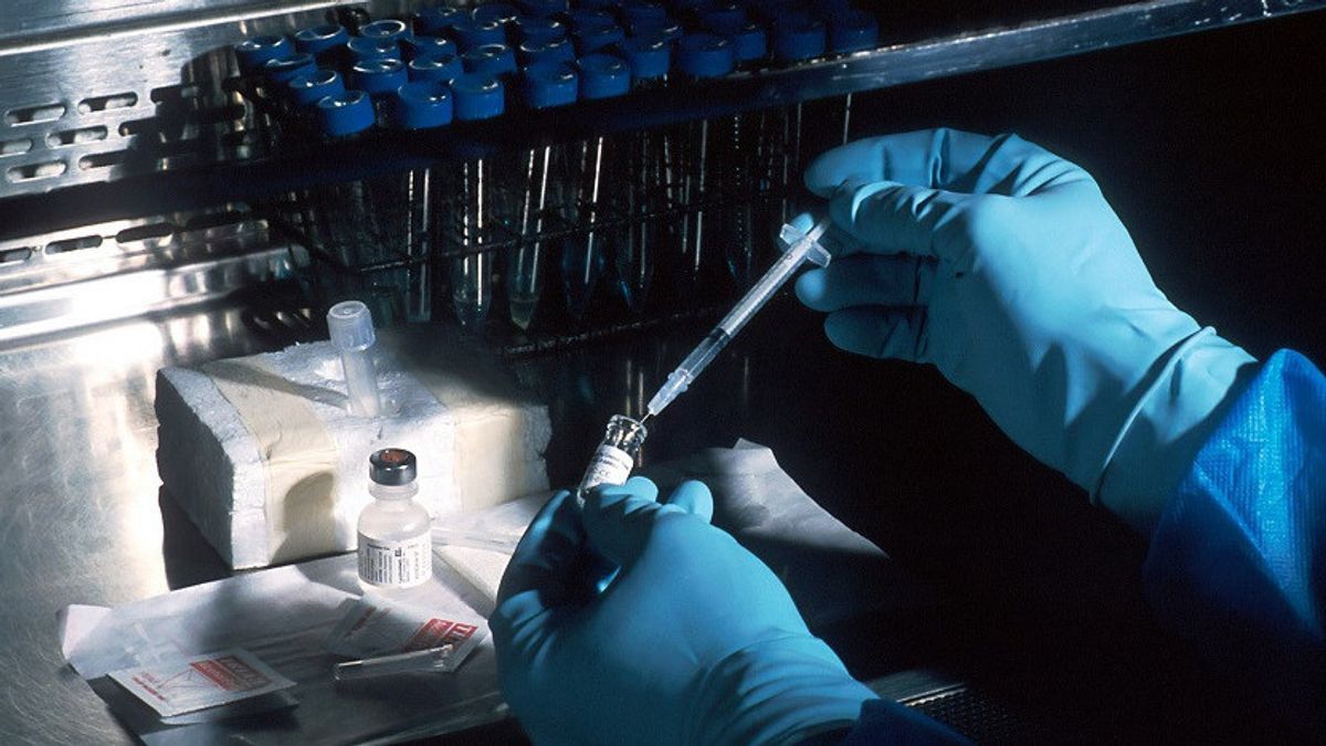 Hiện tại vẫn chưa c&oacute; vaccine để dự ph&ograve;ng v&agrave; thuốc điều trị đặc hiệu virus Marburg.