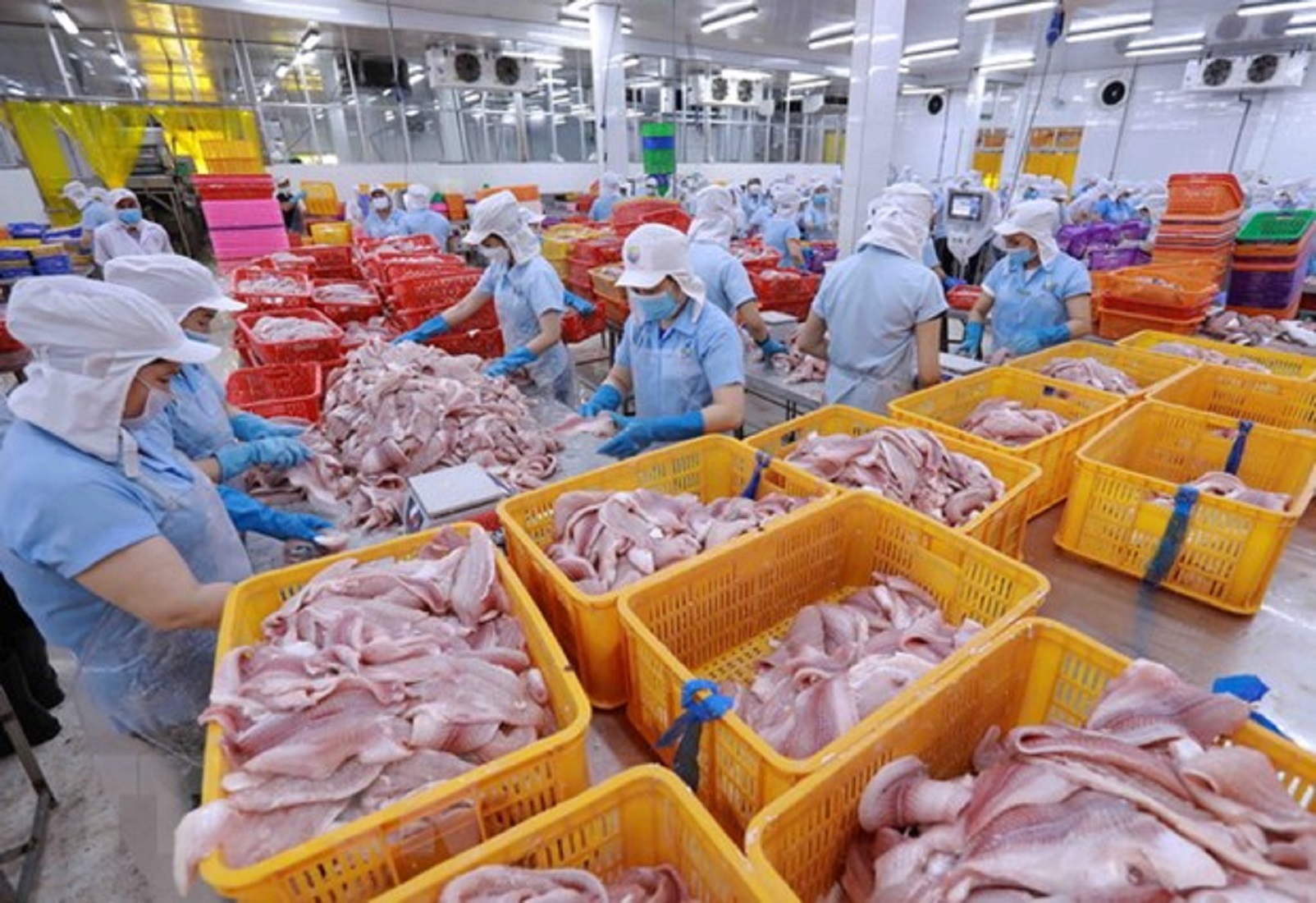 Pg88 com chính chủ thủy sản tháng 3/2023 giảm tới 29% so với cùng kỳ.