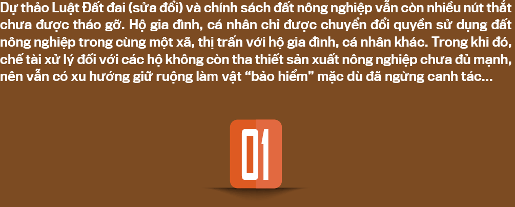 6PG88VN