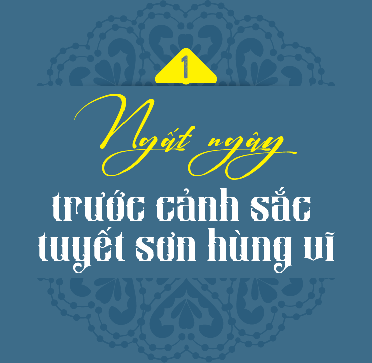 6PG88VN