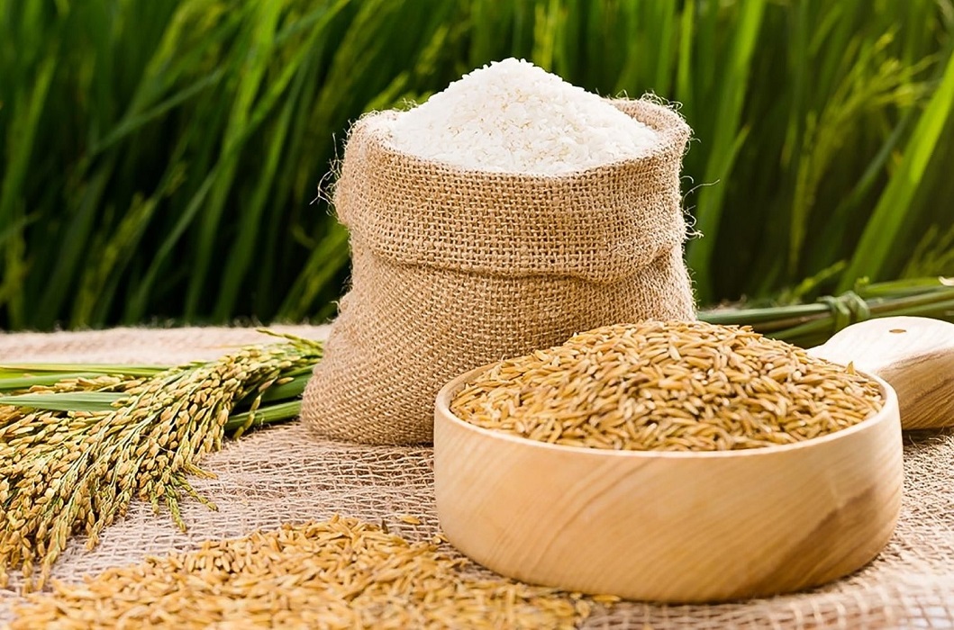 Ukraine lên kế hoạch tái thiết đất nước, cơ hội để Việt Nam đẩy mạnh hợp tác Pg88vn Trang Chủ Chính Thức và Pg88ok ưu đãi hấp dẫn